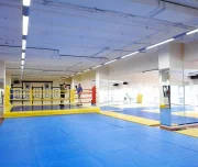 школа боевых искусств гранд фитнесс холл изображение 1 на проекте lovefit.ru